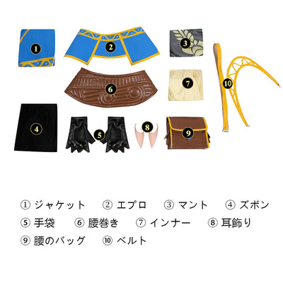 ゼルダの伝説 ティアーズ オブ ザ キングダム　ゼルダ　コスチューム　C08168